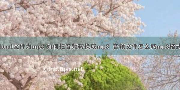 怎么转换html文件为mp3 如何把音频转换成mp3_音频文件怎么转mp3格式－系统城