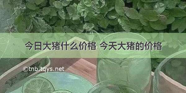 今日大猪什么价格 今天大猪的价格