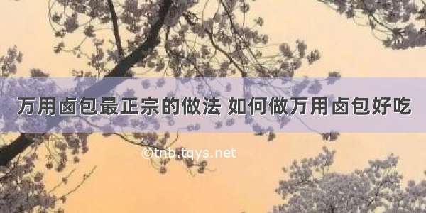 万用卤包最正宗的做法 如何做万用卤包好吃