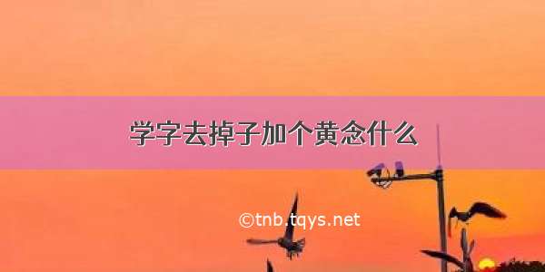 学字去掉子加个黄念什么