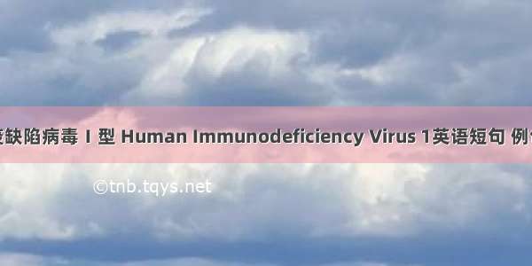 人免疫缺陷病毒Ⅰ型 Human Immunodeficiency Virus 1英语短句 例句大全