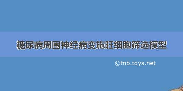 糖尿病周围神经病变施旺细胞筛选模型