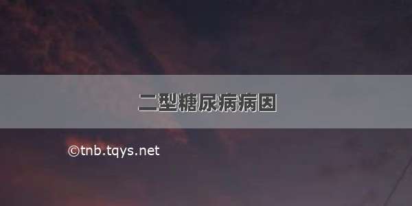 二型糖尿病病因