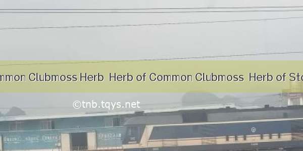 伸筋草HERBA LYCOPODIICommon Clubmoss Herb  Herb of Common Clubmoss  Herb of Staghorn Clubmoss  Herb of