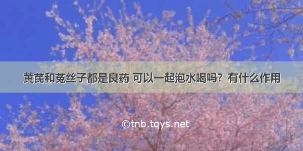 黄芪和菟丝子都是良药 可以一起泡水喝吗？有什么作用