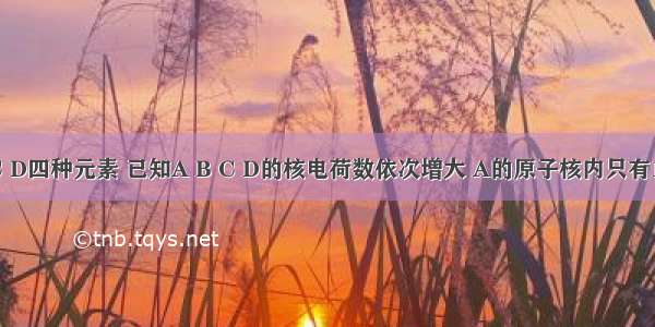 有A B C D四种元素 已知A B C D的核电荷数依次增大 A的原子核内只有1个质子；