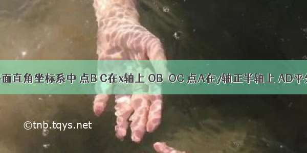 如图 在平面直角坐标系中 点B C在x轴上 OB＞OC 点A在y轴正半轴上 AD平分∠BAC 