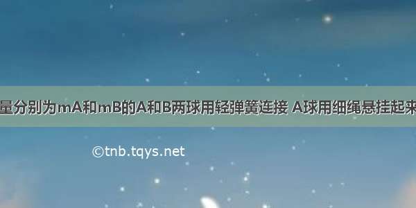 如图所示 质量分别为mA和mB的A和B两球用轻弹簧连接 A球用细绳悬挂起来 两球均处于