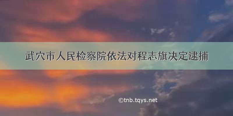 武穴市人民检察院依法对程志旗决定逮捕