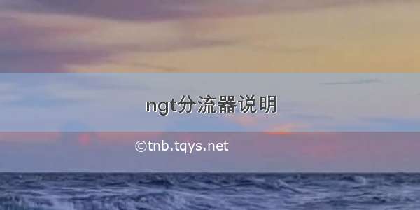 ngt分流器说明