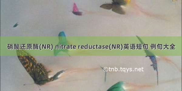 硝酸还原酶(NR) nitrate reductase(NR)英语短句 例句大全