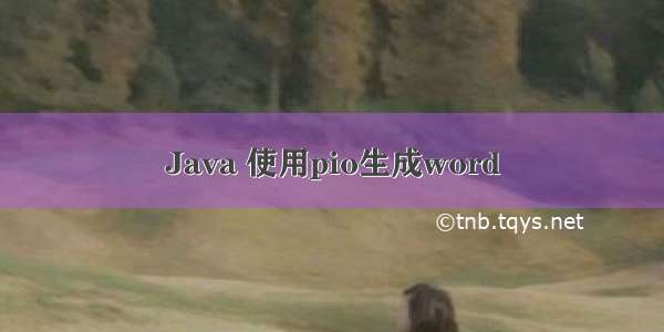 Java 使用pio生成word