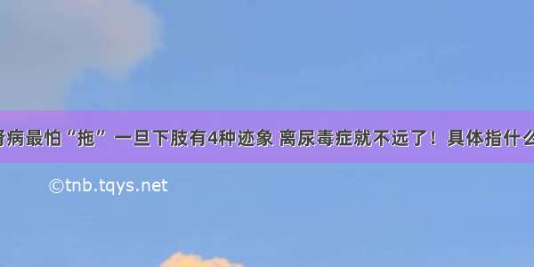 肾病最怕“拖” 一旦下肢有4种迹象 离尿毒症就不远了！具体指什么？