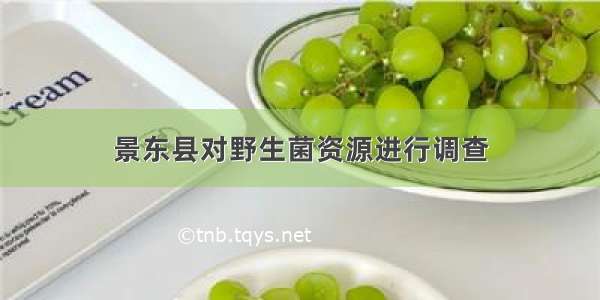 景东县对野生菌资源进行调查