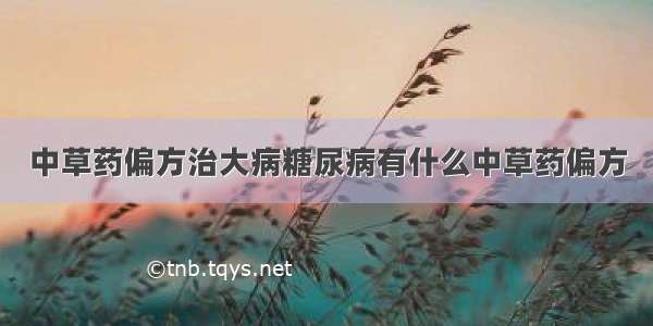 中草药偏方治大病糖尿病有什么中草药偏方