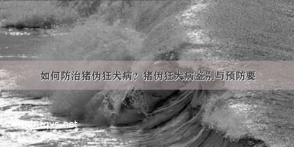 如何防治猪伪狂犬病？猪伪狂犬病鉴别与预防要