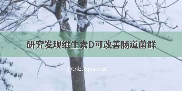 研究发现维生素D可改善肠道菌群