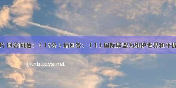 观察下列图片 回答问题：（17分）请回答：（1）国际联盟为维护世界和平提出了哪些措