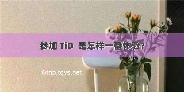 参加 TiD  是怎样一番体验？