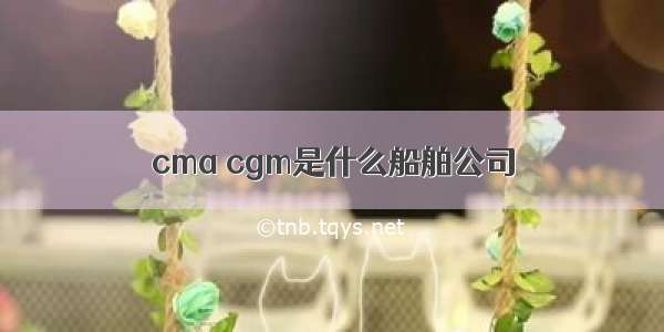 cma cgm是什么船舶公司