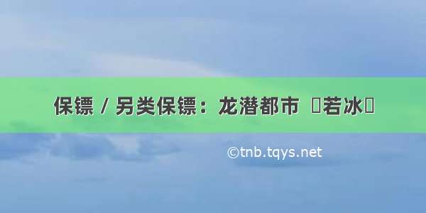 保镖 / 另类保镖：龙潜都市  渙若冰釋