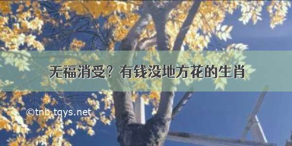 无福消受？有钱没地方花的生肖