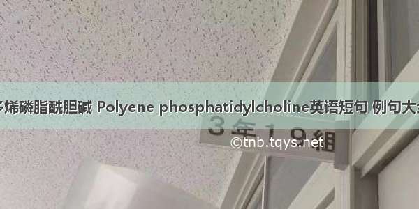 多烯磷脂酰胆碱 Polyene phosphatidylcholine英语短句 例句大全