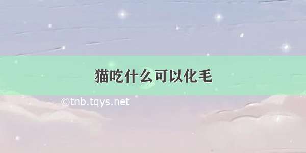 猫吃什么可以化毛