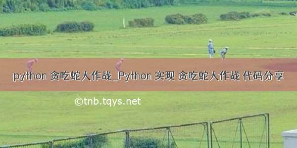 python 贪吃蛇大作战_Python 实现 贪吃蛇大作战 代码分享