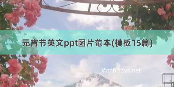 元宵节英文ppt图片范本(模板15篇)