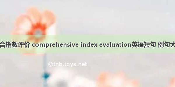 综合指数评价 comprehensive index evaluation英语短句 例句大全