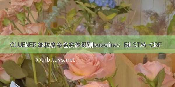 CLUENER 细粒度命名实体识别baseline：BiLSTM-CRF