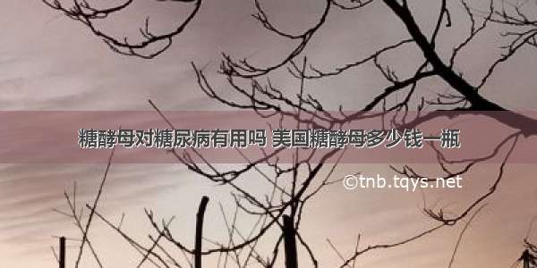 糖酵母对糖尿病有用吗 美国糖酵母多少钱一瓶