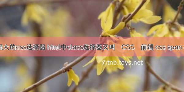 6个强大的css选择器 html中class选择器又叫 – CSS – 前端 css span 样式