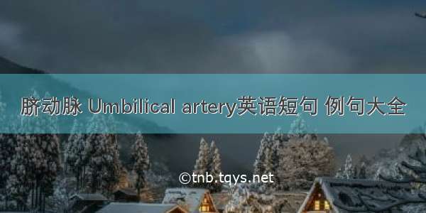 脐动脉 Umbilical artery英语短句 例句大全