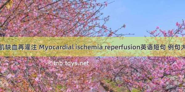 心肌缺血再灌注 Myocardial ischemia reperfusion英语短句 例句大全