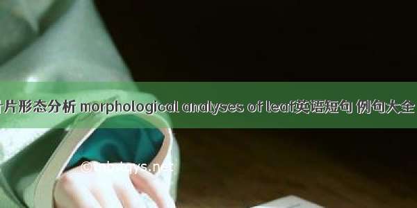 叶片形态分析 morphological analyses of leaf英语短句 例句大全