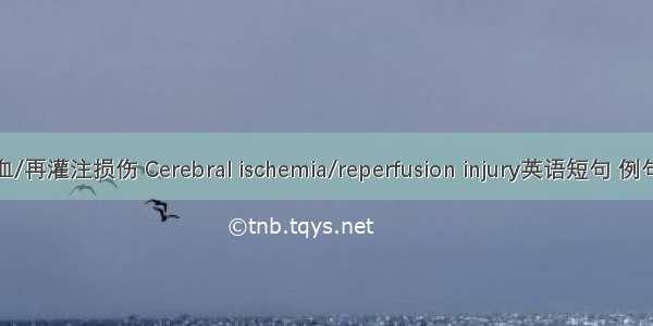 脑缺血/再灌注损伤 Cerebral ischemia/reperfusion injury英语短句 例句大全