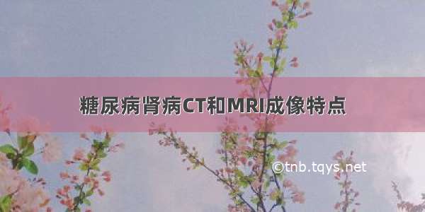 糖尿病肾病CT和MRI成像特点