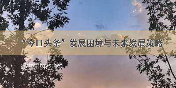 “今日头条”发展困境与未来发展策略