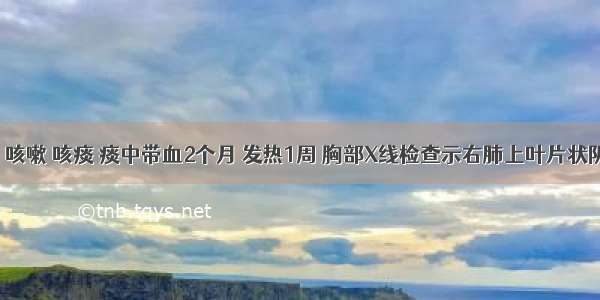 男 65岁 咳嗽 咳痰 痰中带血2个月 发热1周 胸部X线检查示右肺上叶片状阴影。为