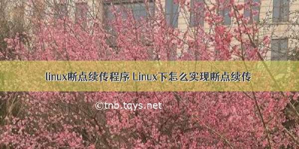 linux断点续传程序 Linux下怎么实现断点续传