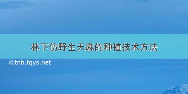 林下仿野生天麻的种植技术方法