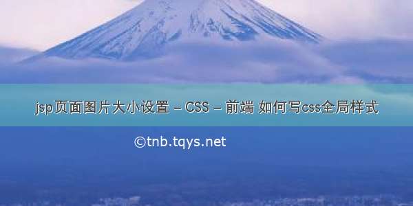 jsp页面图片大小设置 – CSS – 前端 如何写css全局样式