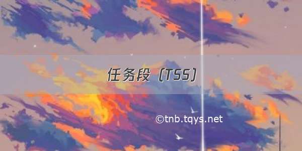 任务段（TSS）