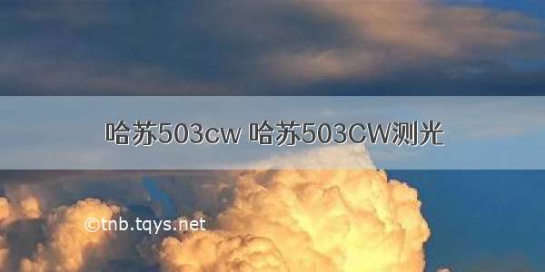 哈苏503cw 哈苏503CW测光