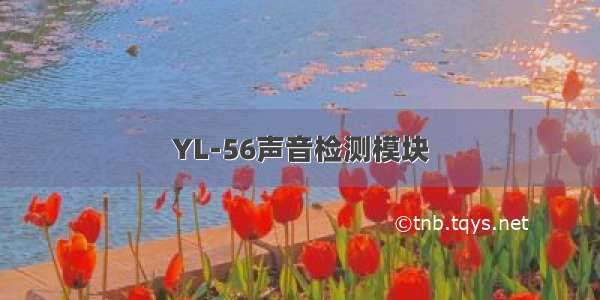 YL-56声音检测模块