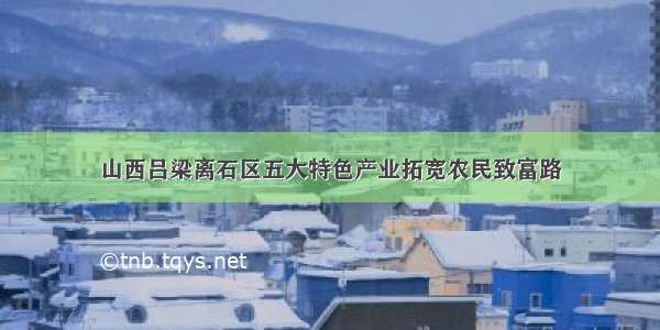 山西吕梁离石区五大特色产业拓宽农民致富路