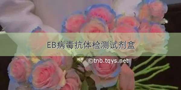 EB病毒抗体检测试剂盒