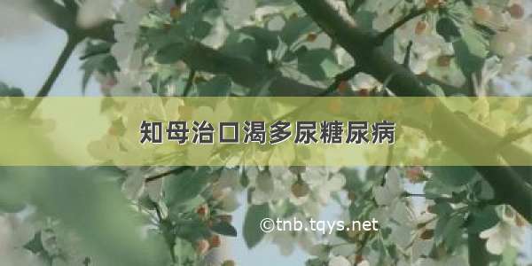 知母治口渴多尿糖尿病